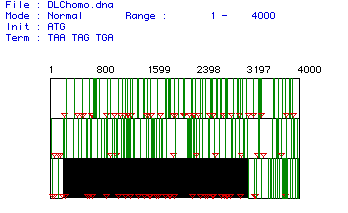 Figure 1. Largest open reading frame of human phospholipase C cDNA.