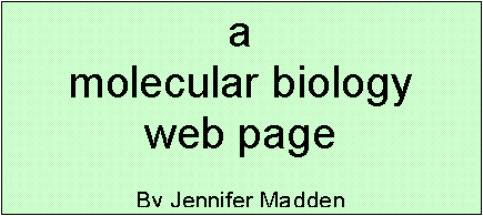 Text Box: a 
molecular biology
web page

By Jennifer Madden

