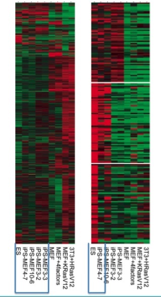 microarray