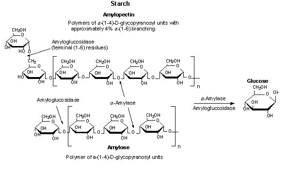 hydrolysis