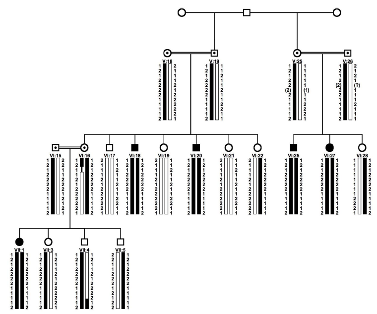 Pedigree of family A