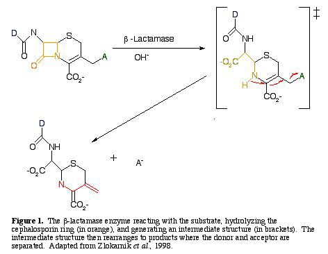 Fig1.jpg