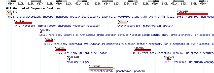 Annotated and Non-Annotated Sequences on Region of Ch.IV