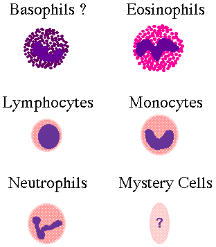 Cartoon Cells
