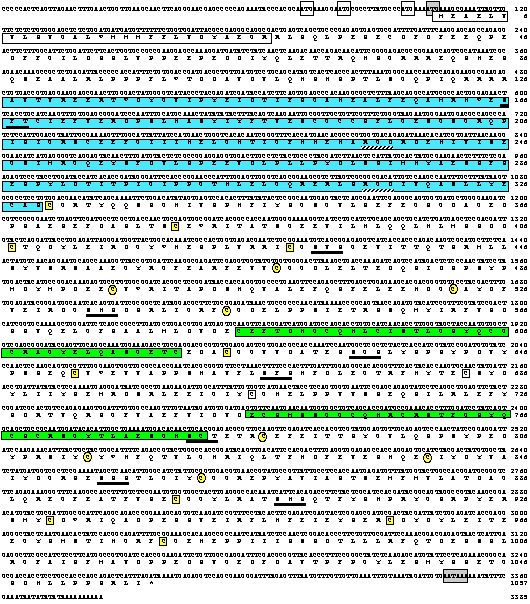 Define Nucleotide