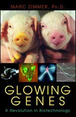 Glowing Genes