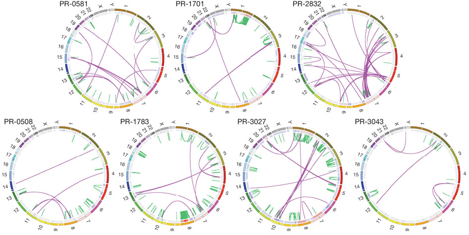  Figure 1: Graphical representation of seven prostate cancer genomes.