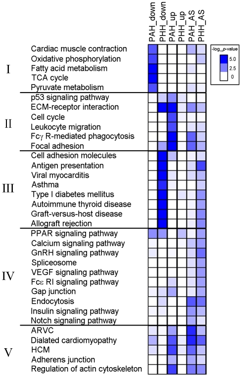 Fig 4