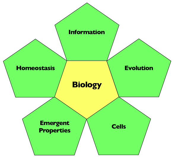 AP Biology