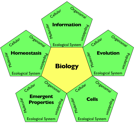 AP Biology PowerPoints - BiologyJunction