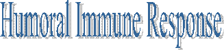 Humoral Immune Response  