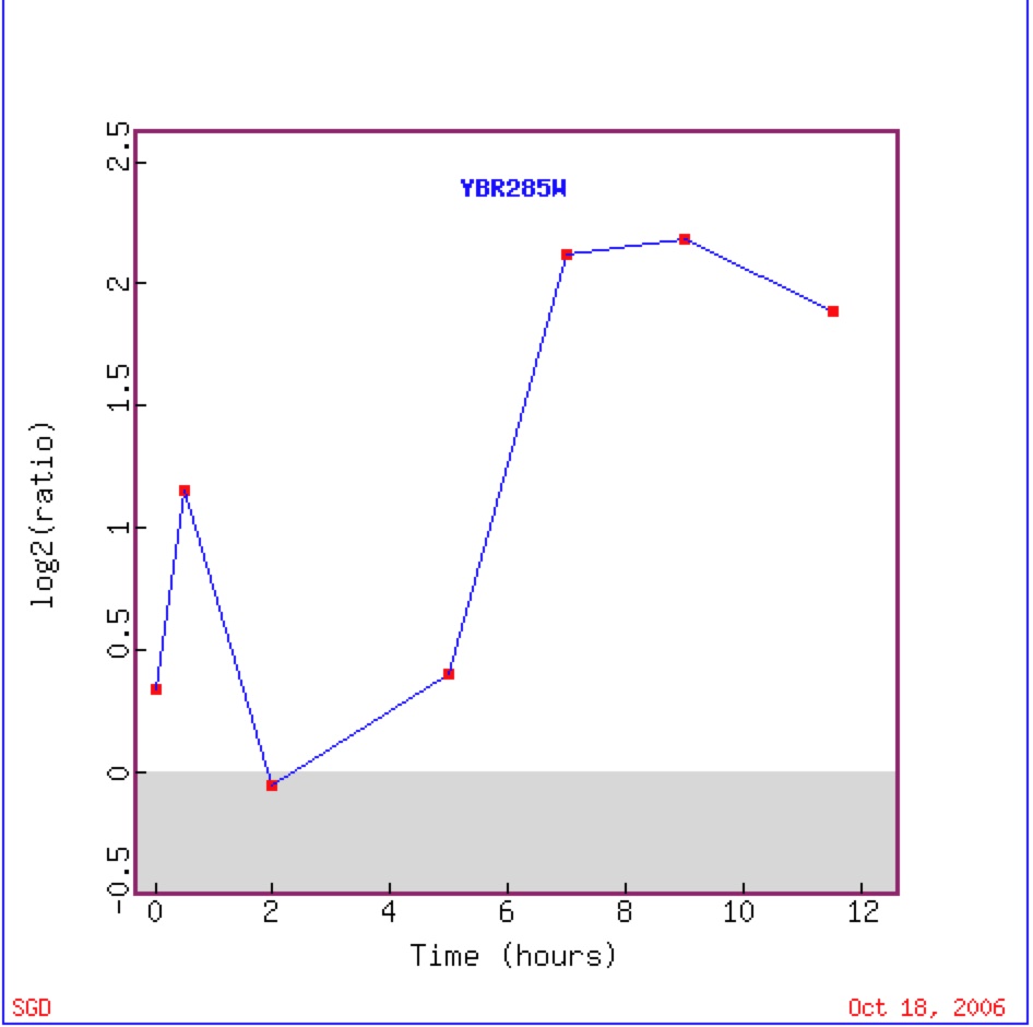 spor-graph