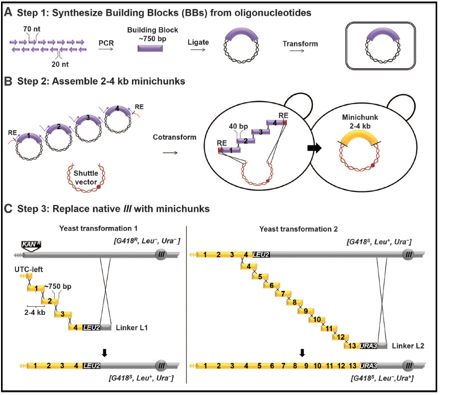 Fig2ABC