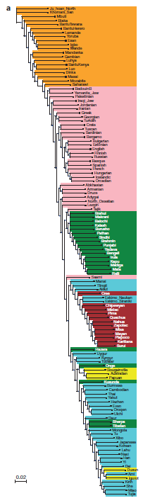 Fig1a