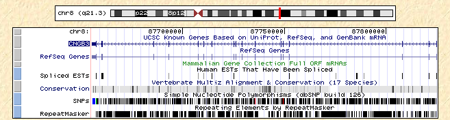 Human Genome Broswer - CNGB3