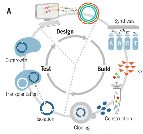 test cycle