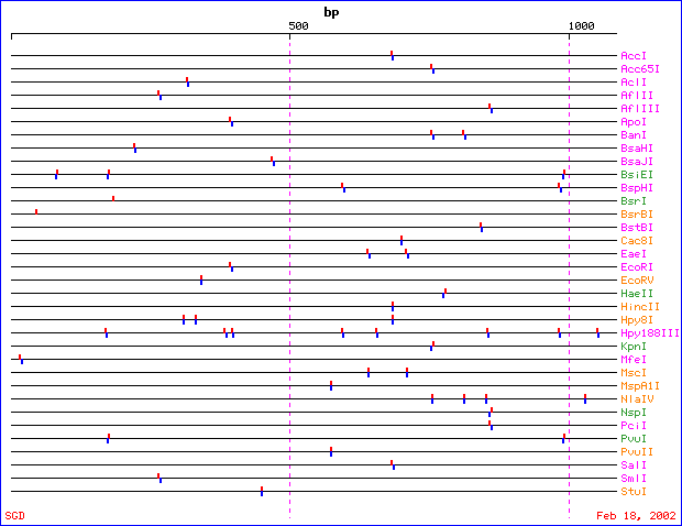 IDH1resmap.gif (5583 bytes)