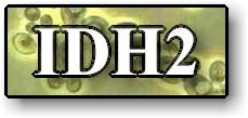 IDH2button.jpg (9894 bytes)