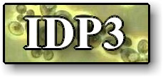IDP3button.jpg (10180 bytes)