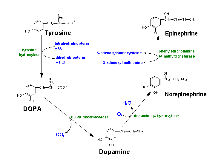 Dopamine