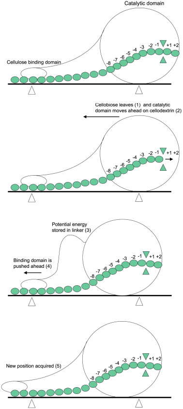 mechanism