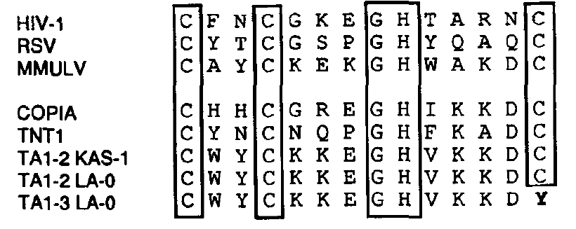 ArabidopsisSequenceAlignment