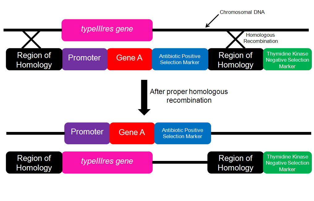 Figure3ReviewPaper