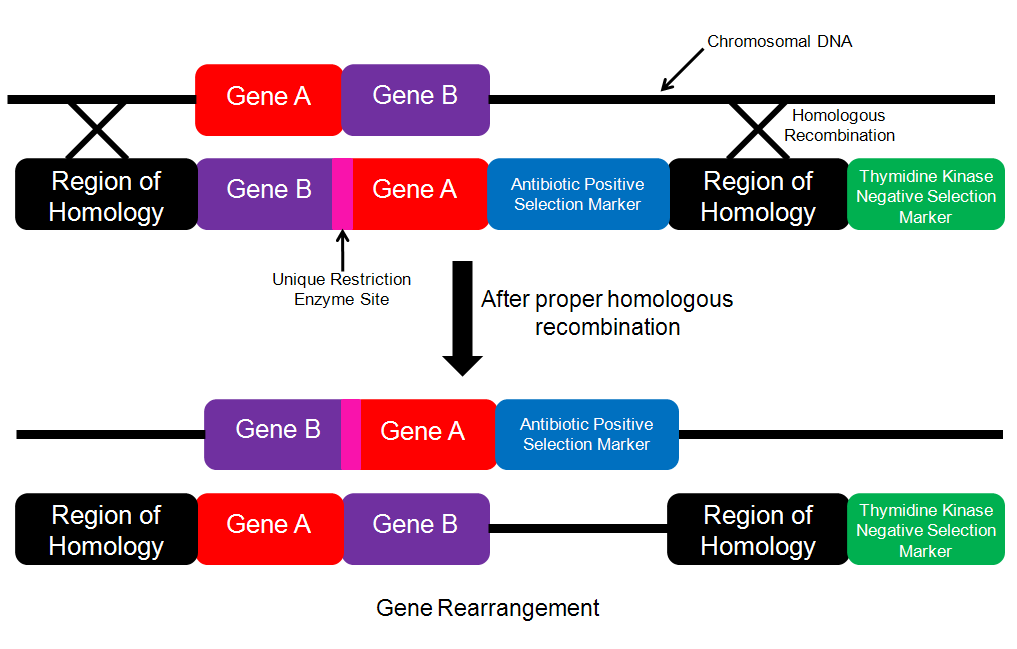 Figure3ReviewPaper