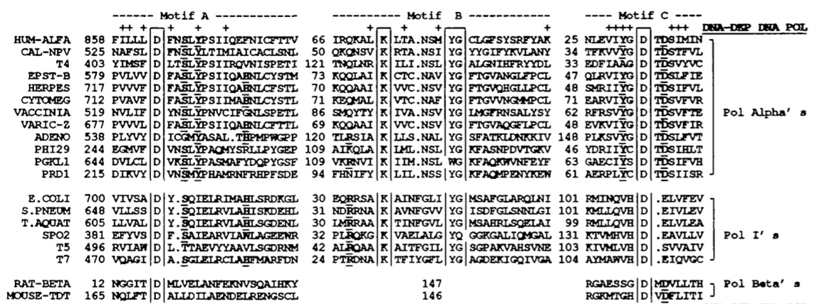 sequences