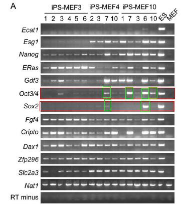 Figure 3A