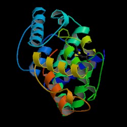 utrophin