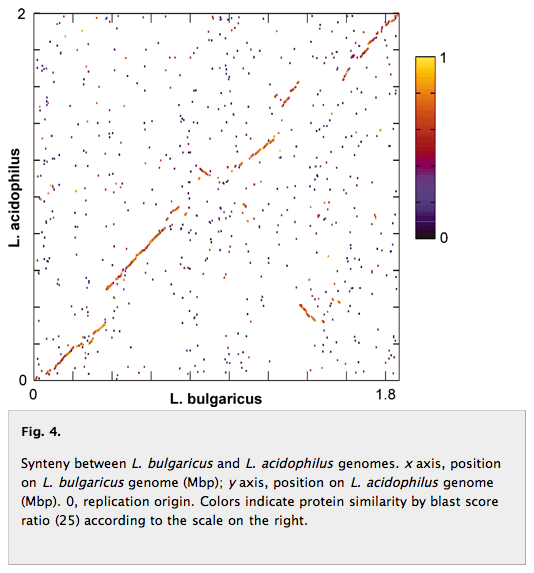 Protein Scores