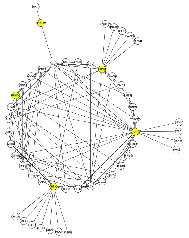 Figure1