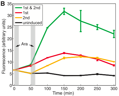 figure1b