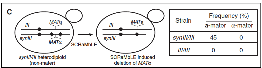 Fig4C