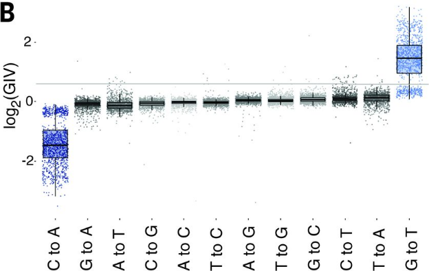 Fig2A