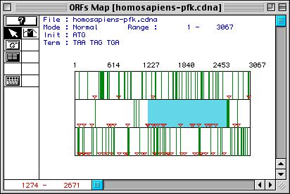 Click here to see the Homo sapiens PFK sequence