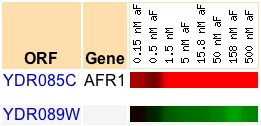 Expression Profile