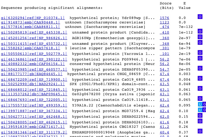 BLASTp Search Results