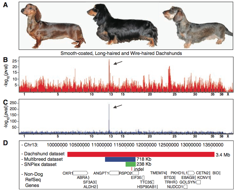 figure1