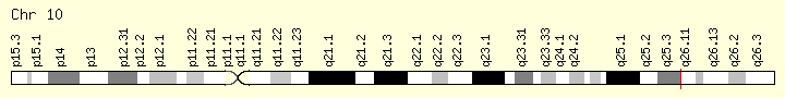 gene