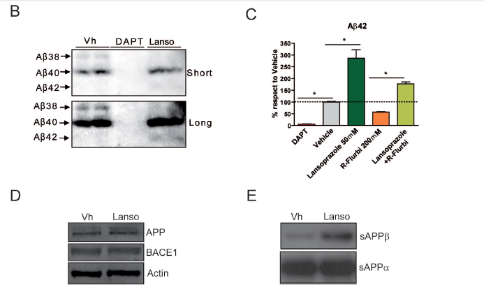 fig2b