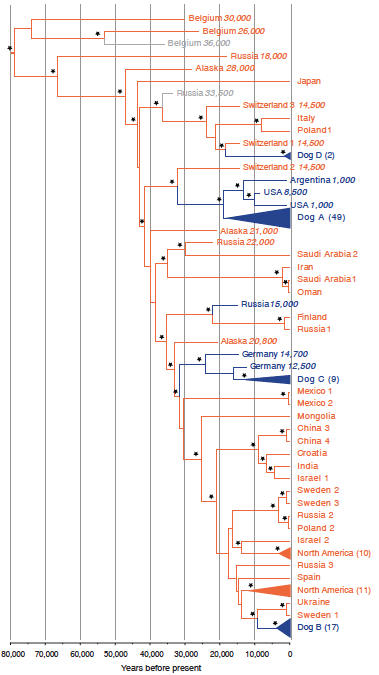 Figure1