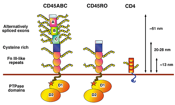 Structure