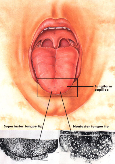 bigmouth.jpg (72980 bytes)