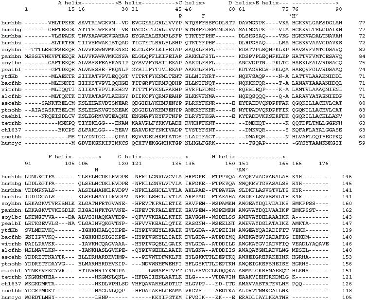 HemoSequences