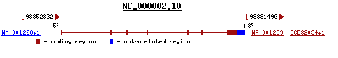 OMIM - CNGA3