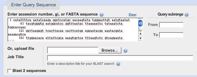 How to Use NCBI BLAST