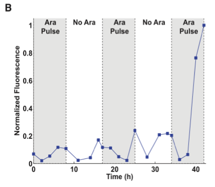 figure3b