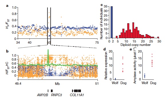 dog_genome